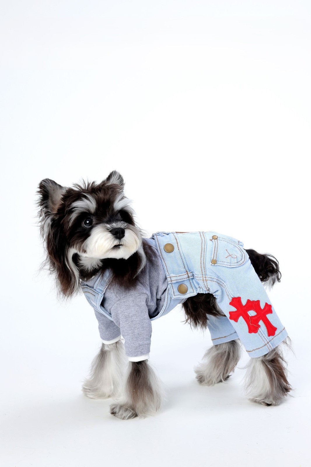 Dog wearing a denim outfit with a red heart design on a white background