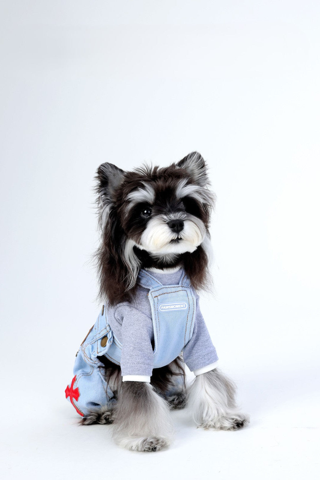 Dog wearing a blue outfit with a red cross on a white background