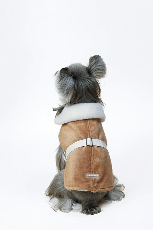 PAWSMOMENT 울 혼방 강아지 케이프 코트 - 브라운