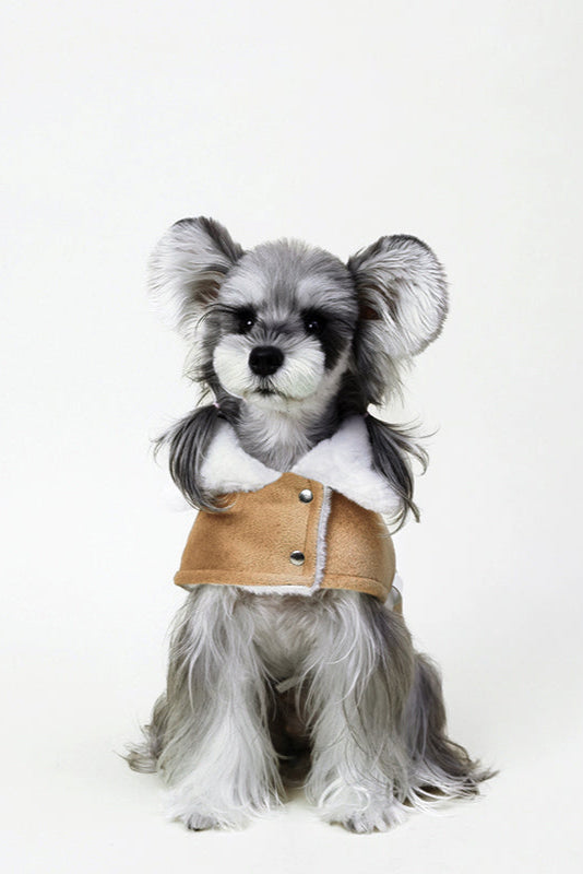 PAWSMOMENT Wool-Blend Dog Cape Coat - Brown