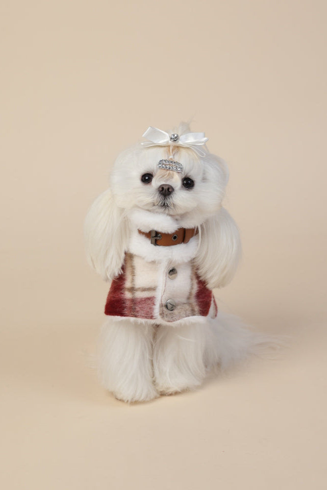 PAWSMOMENT Wool-Blend Dog Cape Coat - Red