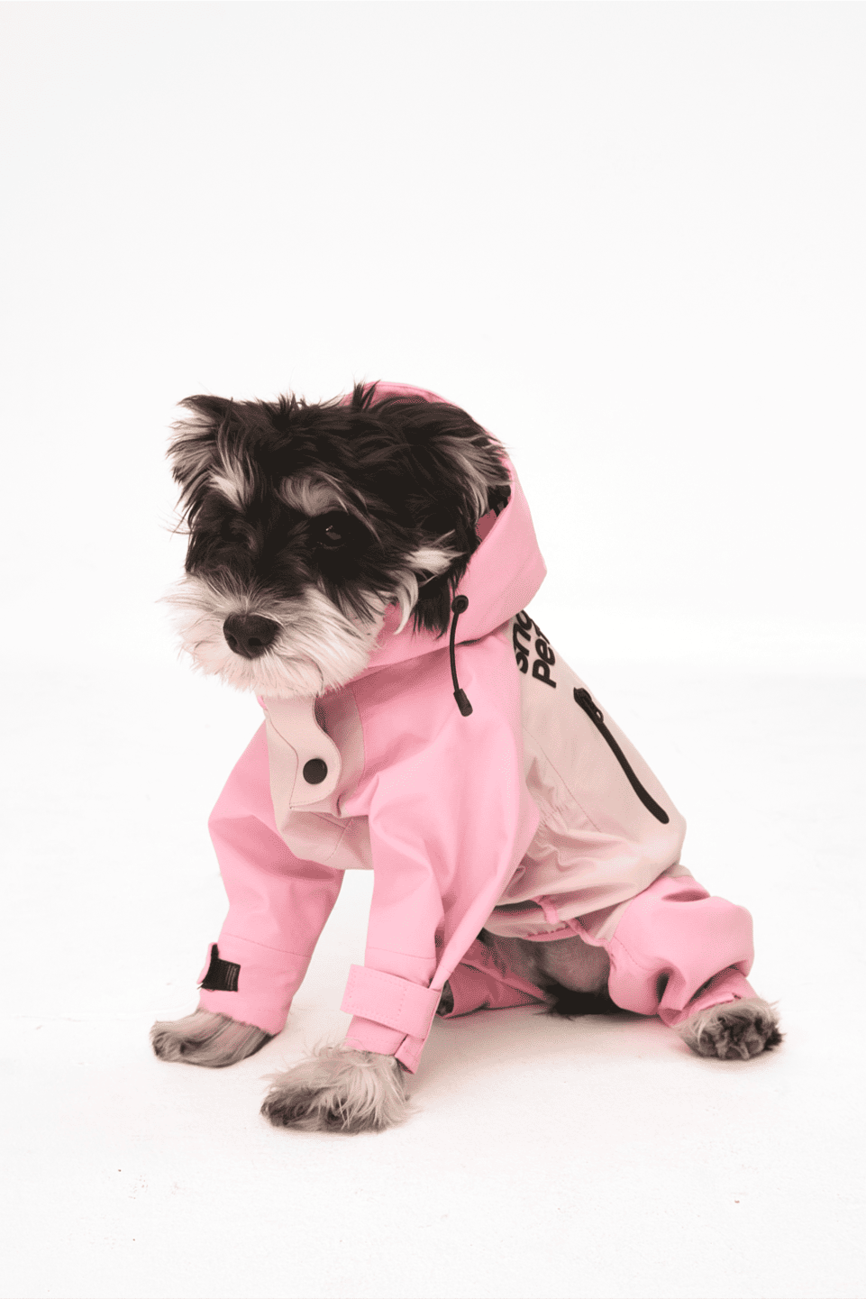 Dog wearing a pink raincoat on a white background