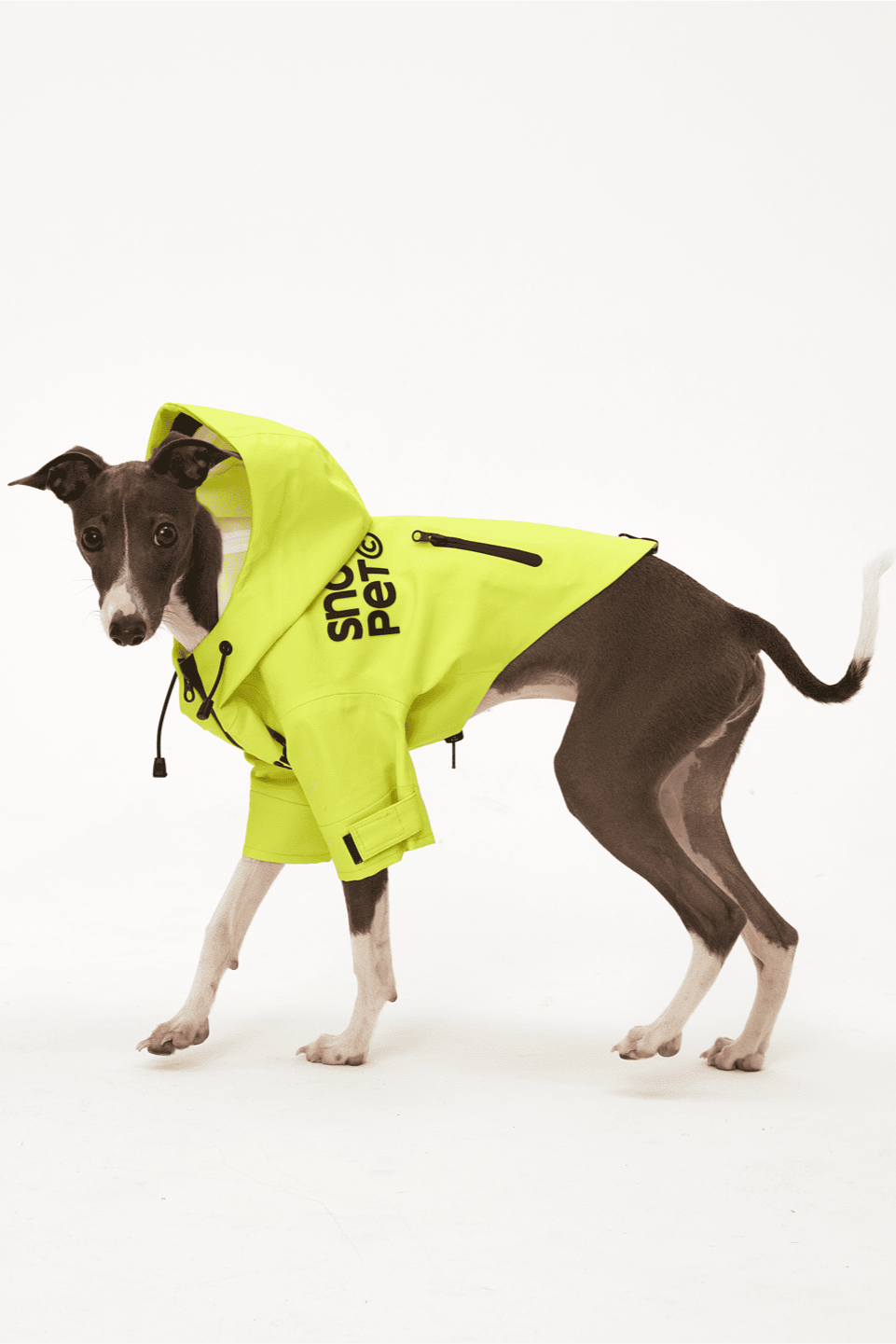 Dog wearing a bright yellow raincoat with 'Sniff & Pet' branding on a white background