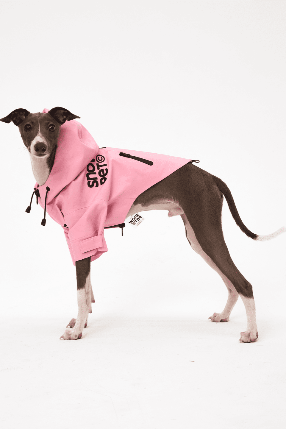 Dog wearing a pink hoodie with a brand logo on a white background