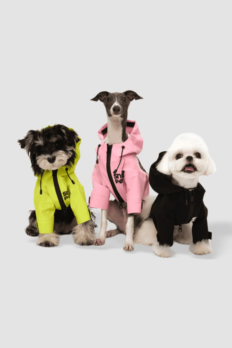 Three dogs wearing colorful raincoats on a white background