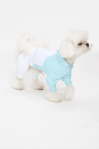 Small white dog wearing a light blue and white outfit on a white background